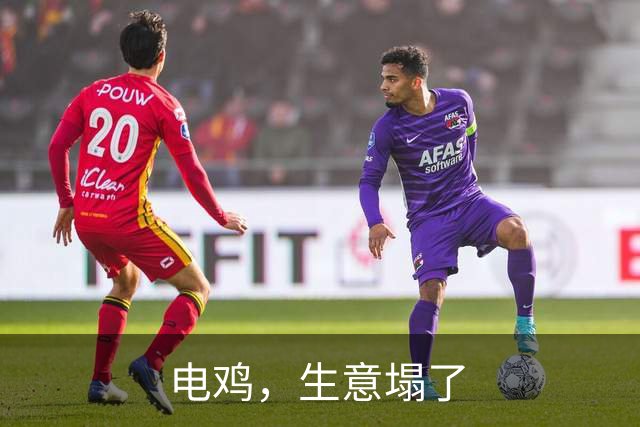 电鸡，生意塌了