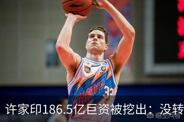 许家印186.5亿巨资被挖出：没转给丁玉梅，而是给了这位“老友”