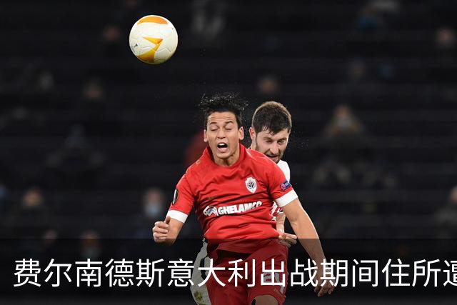费尔南德斯意大利出战期间住所遭窃，警方到场不足五分钟