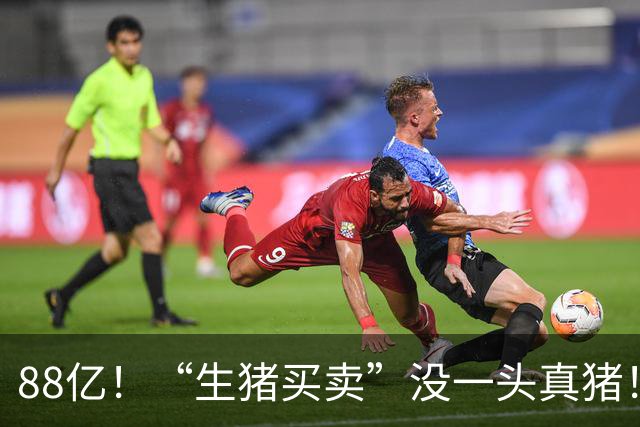 88亿！“生猪买卖”没一头真猪！空手套白狼，国企巨款全被挪走？